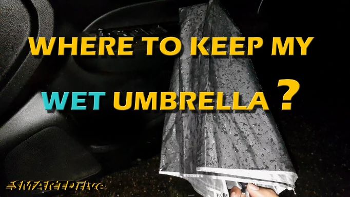 Wet umbrella in car